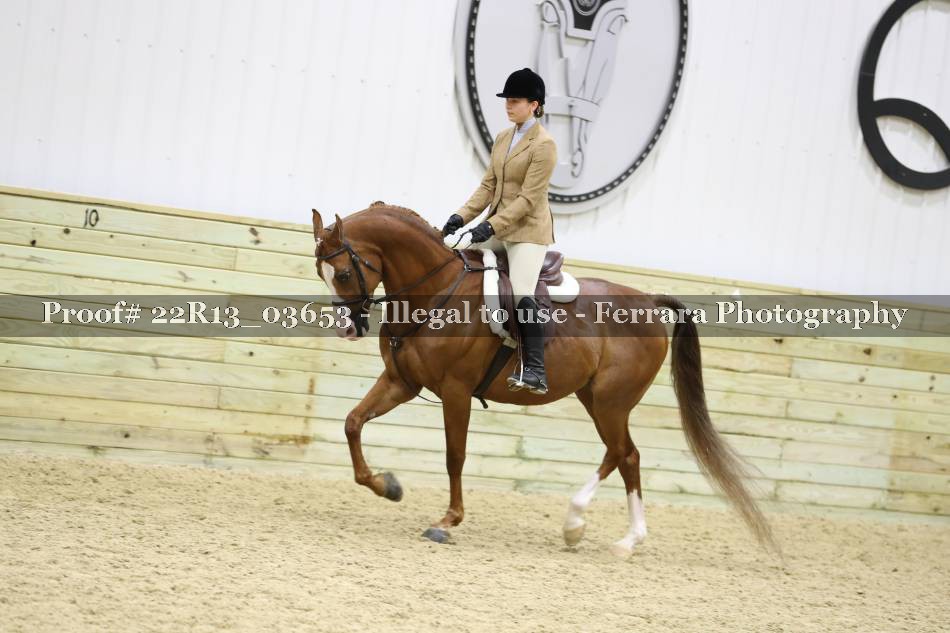 Proof 22R13_03653