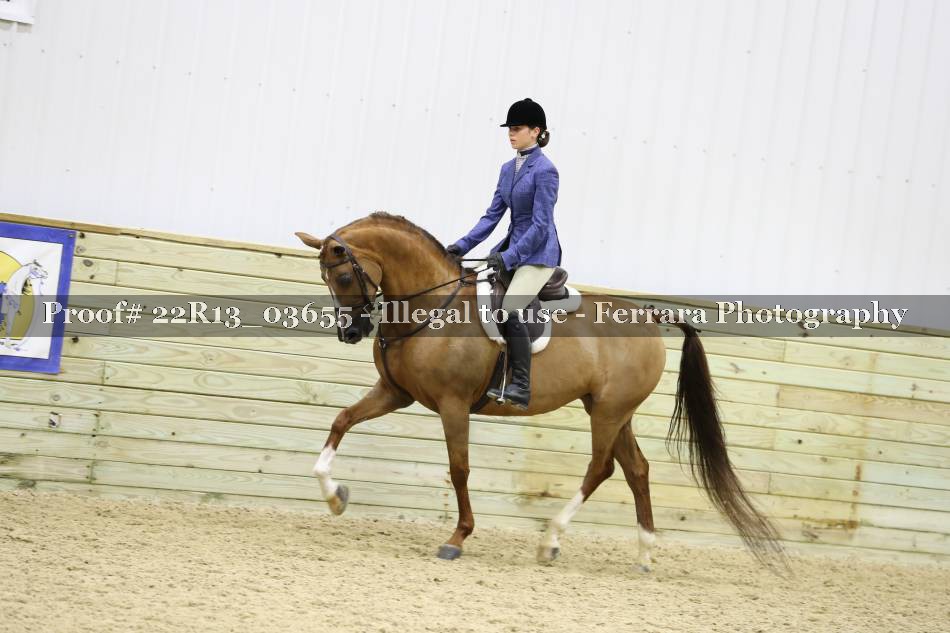 Proof 22R13_03655
