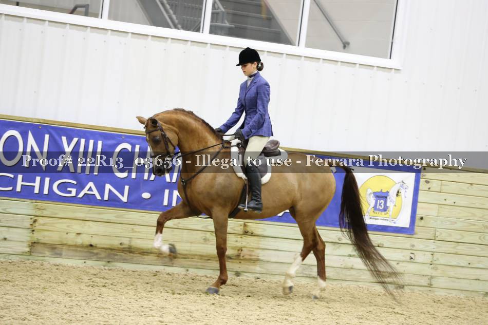 Proof 22R13_03656