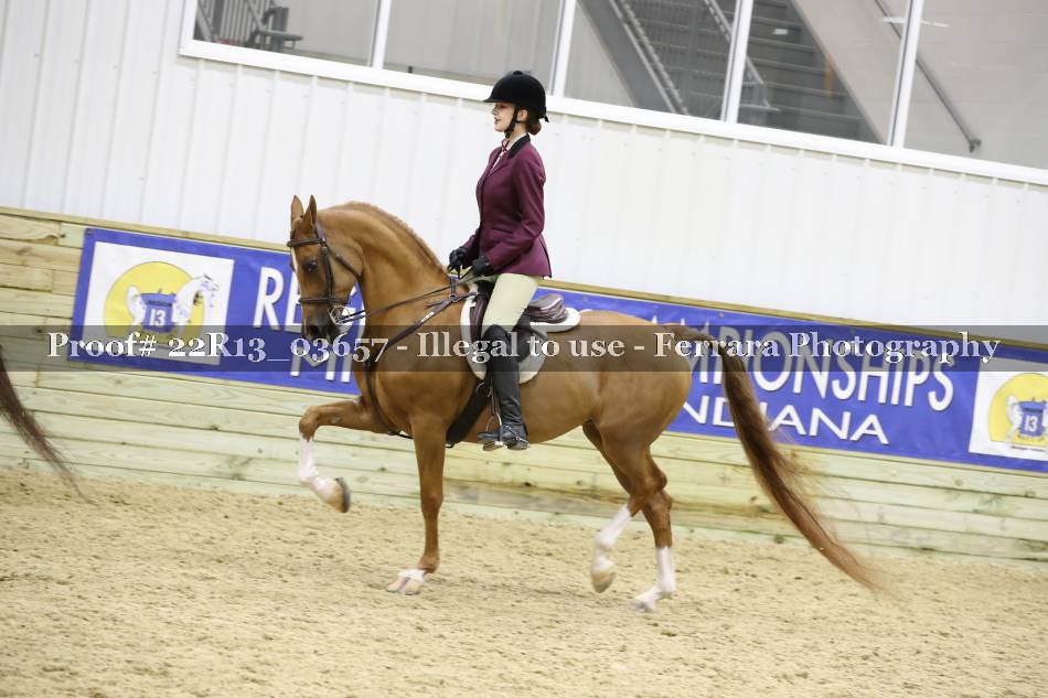 Proof 22R13_03657