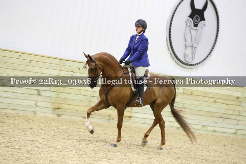 Proof 22R13_03658