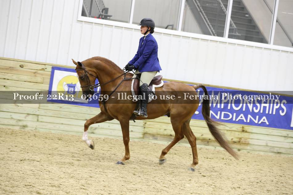 Proof 22R13_03659