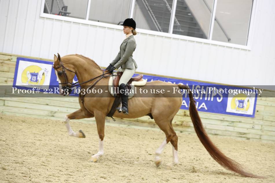 Proof 22R13_03660