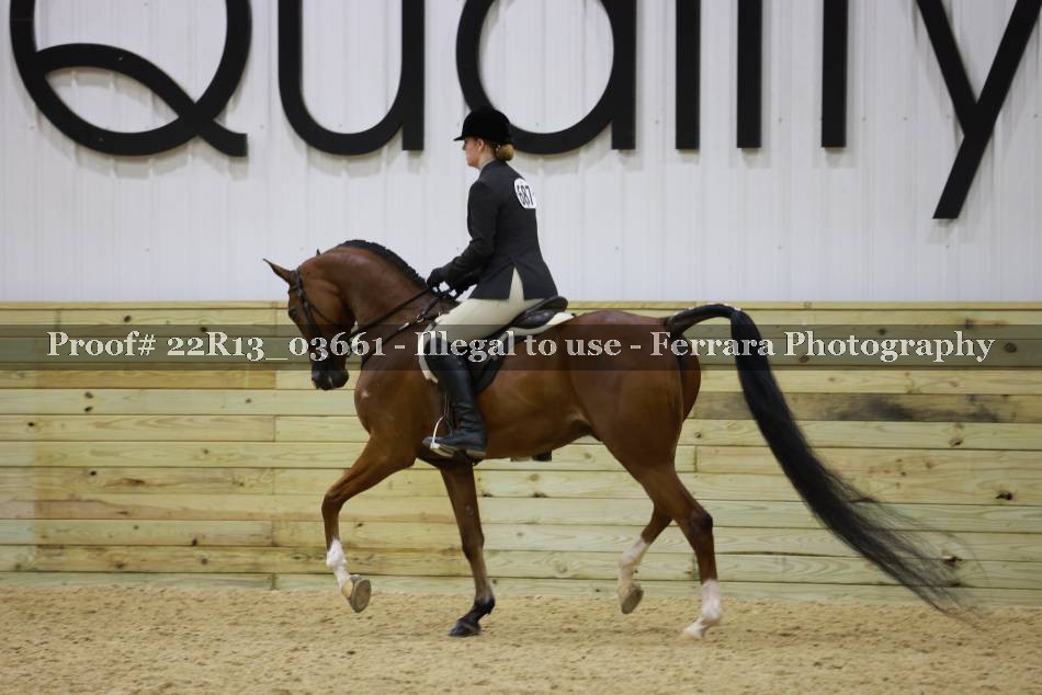 Proof 22R13_03661