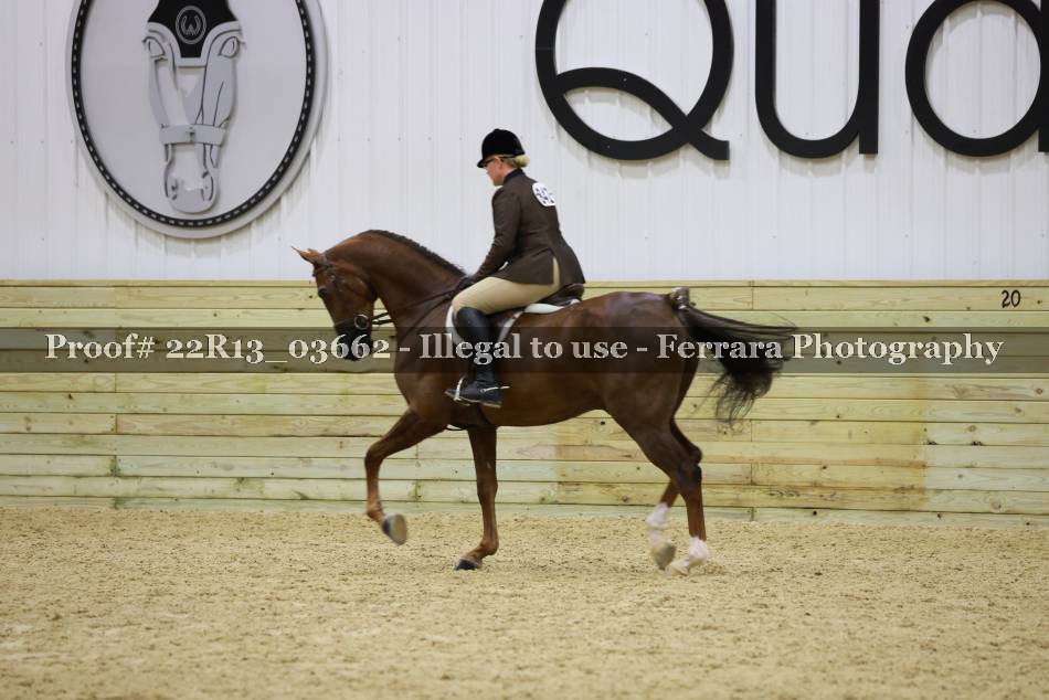 Proof 22R13_03662
