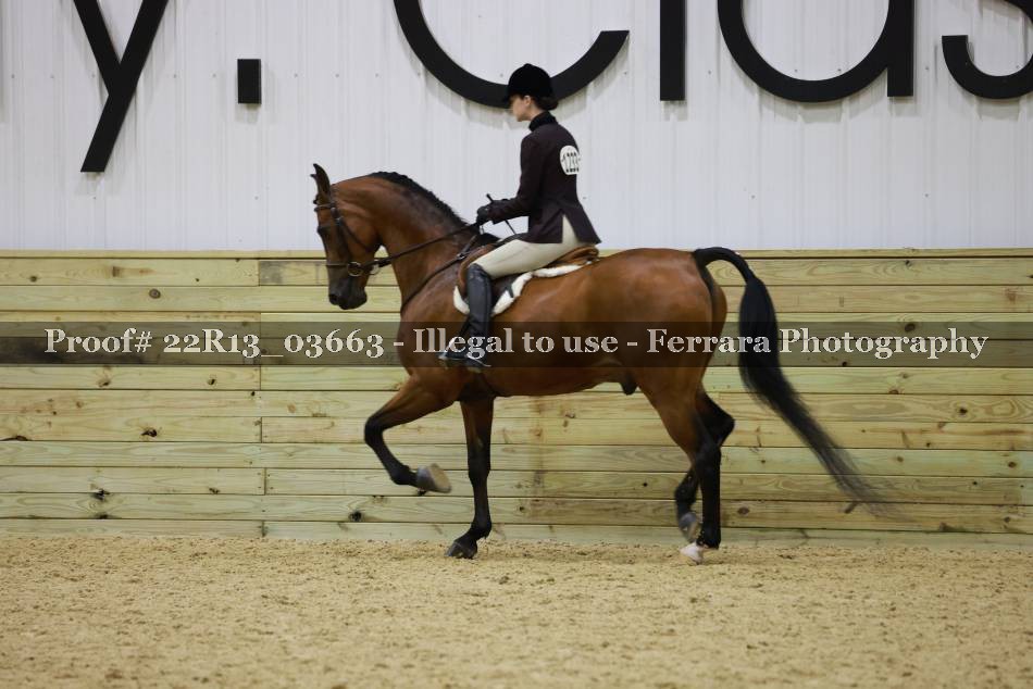 Proof 22R13_03663