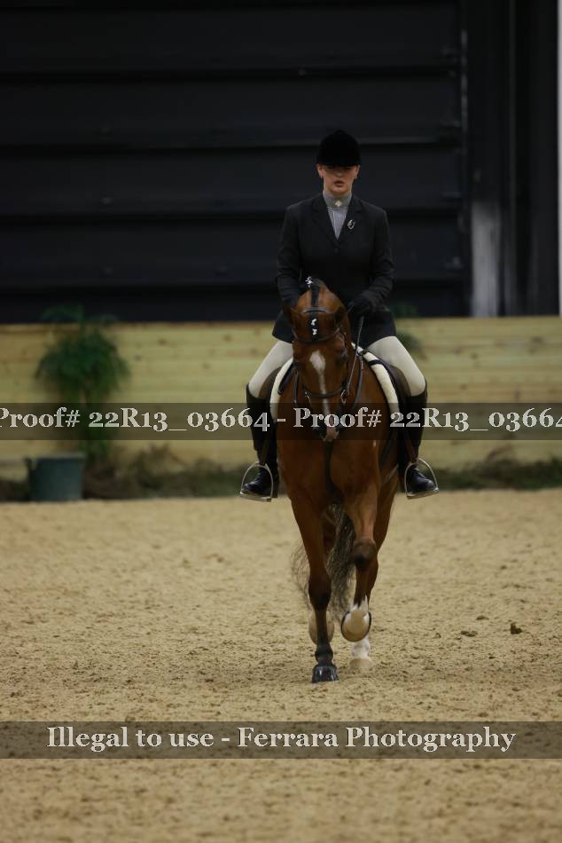 Proof 22R13_03664