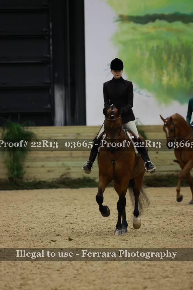 Proof 22R13_03665