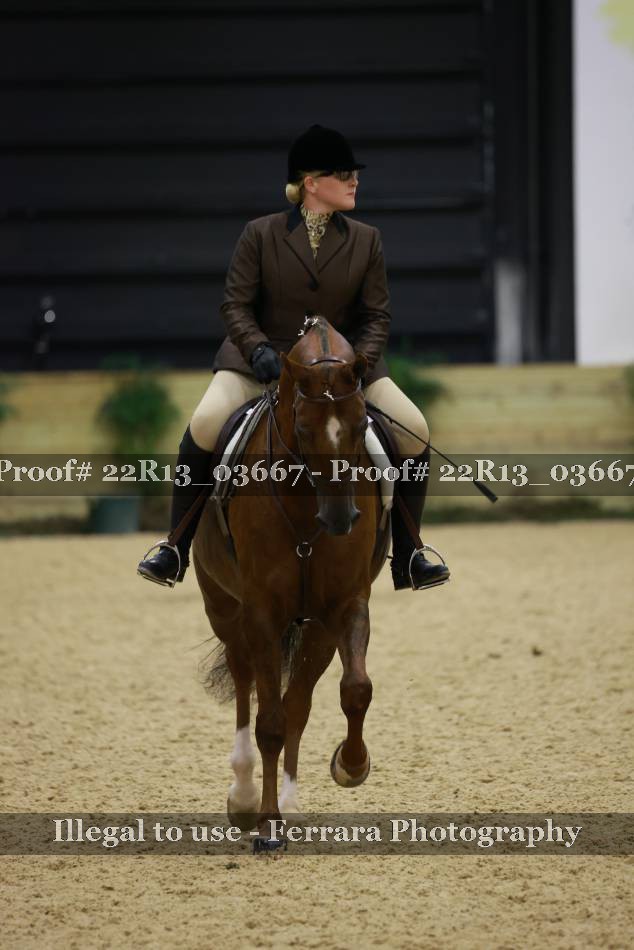 Proof 22R13_03667
