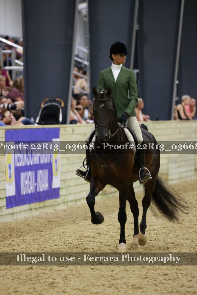 Proof 22R13_03668