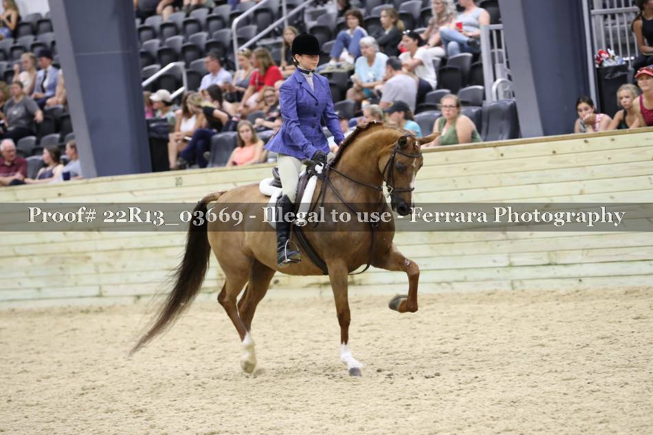 Proof 22R13_03669