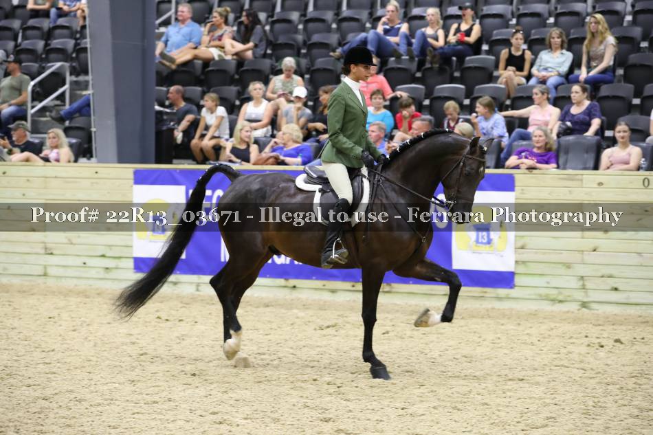 Proof 22R13_03671
