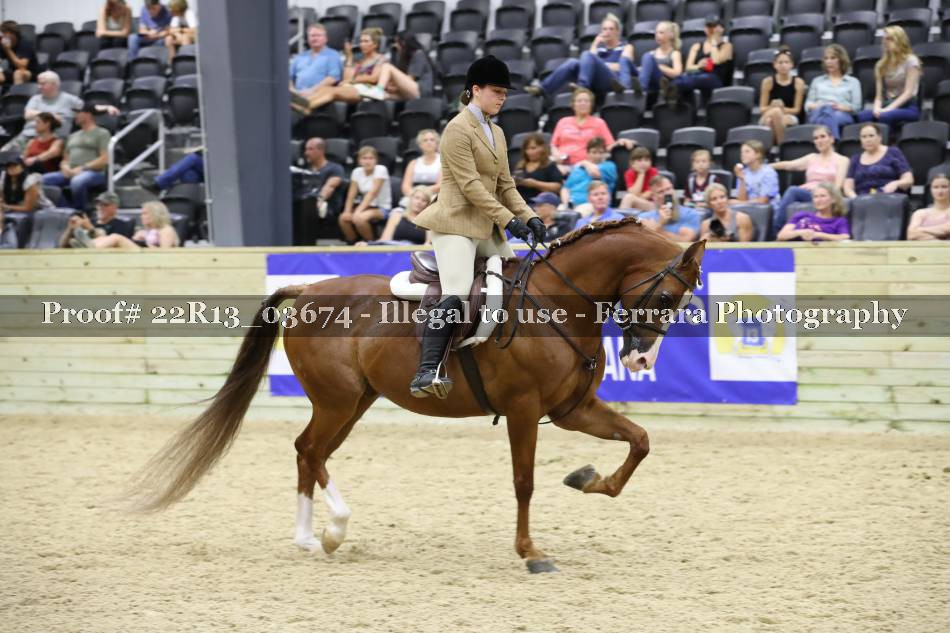 Proof 22R13_03674