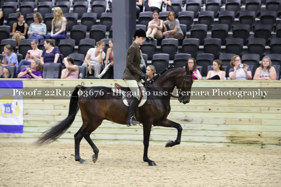 Proof 22R13_03676