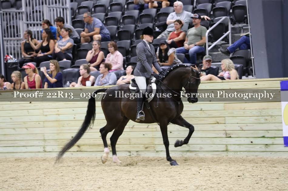 Proof 22R13_03677