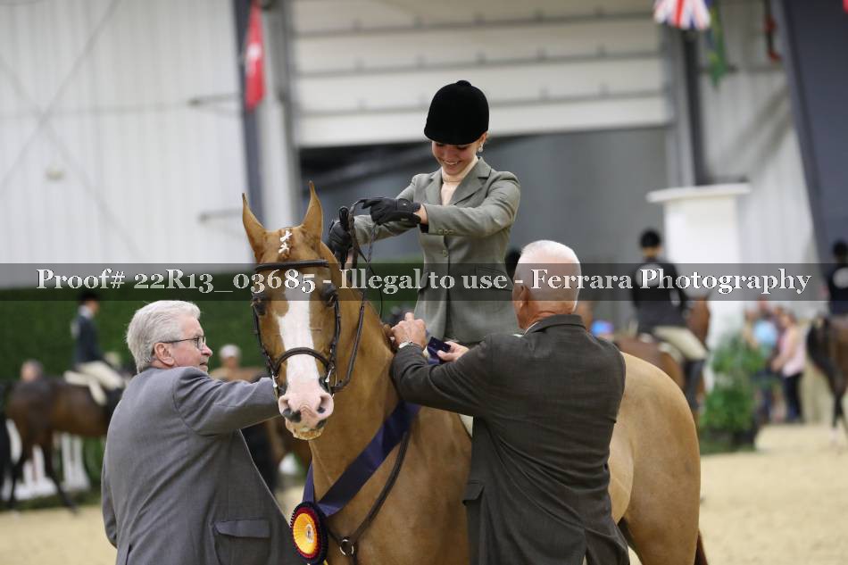 Proof 22R13_03685
