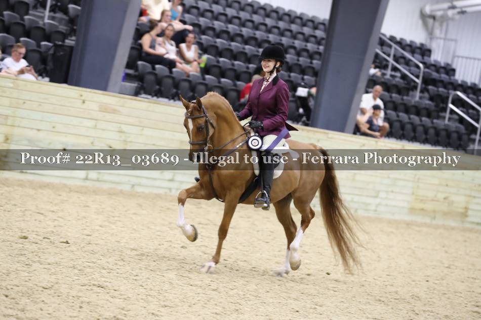 Proof 22R13_03689
