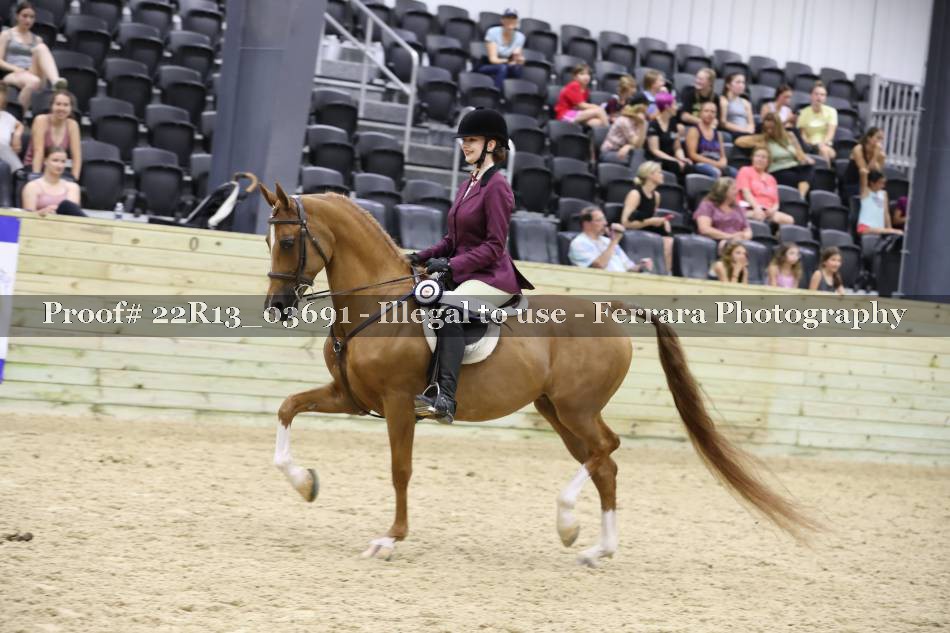 Proof 22R13_03691
