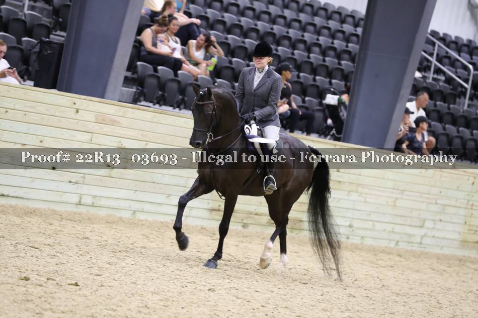 Proof 22R13_03693