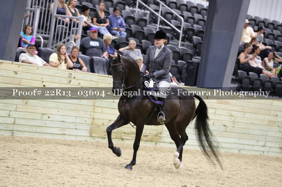 Proof 22R13_03694