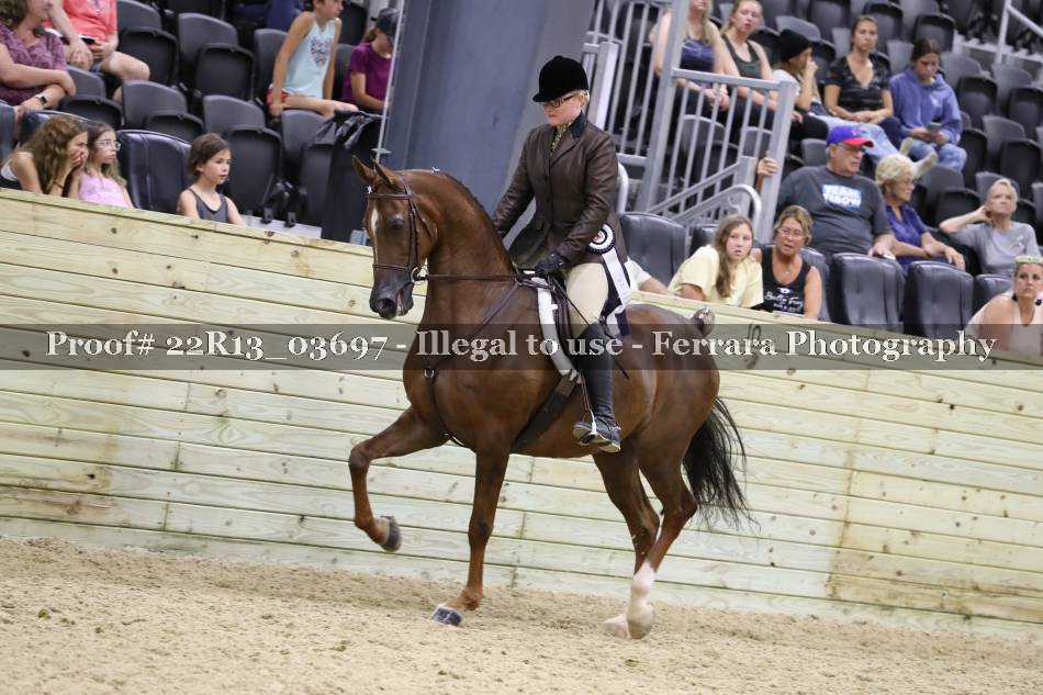 Proof 22R13_03697