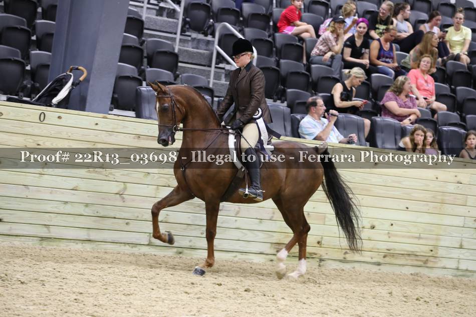 Proof 22R13_03698