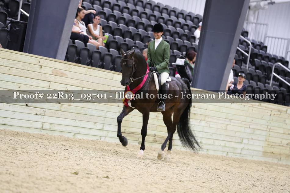 Proof 22R13_03701
