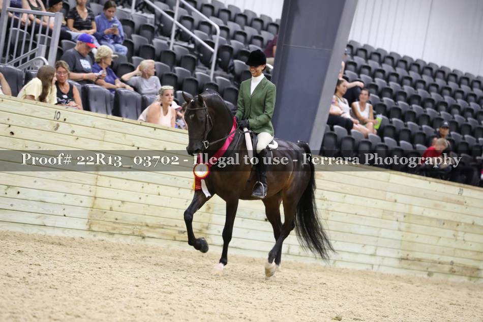 Proof 22R13_03702