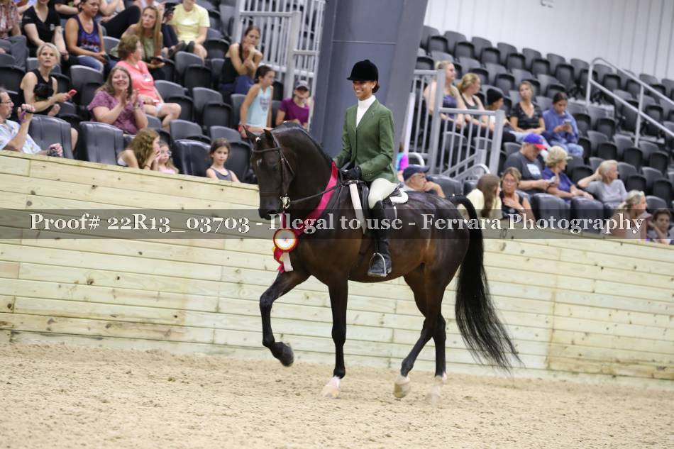 Proof 22R13_03703
