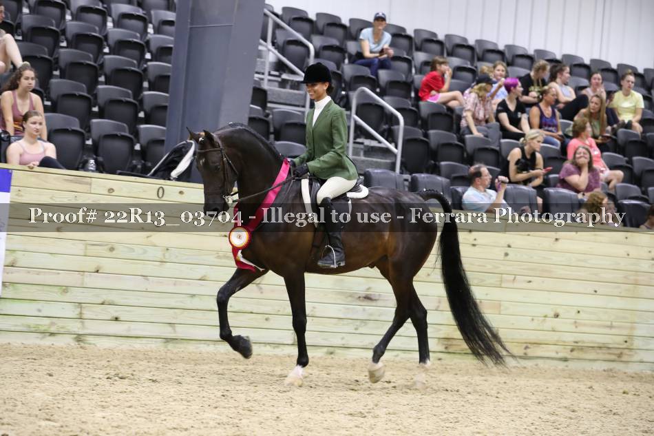 Proof 22R13_03704