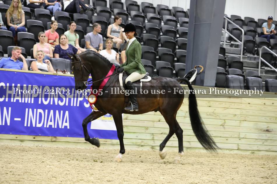Proof 22R13_03705