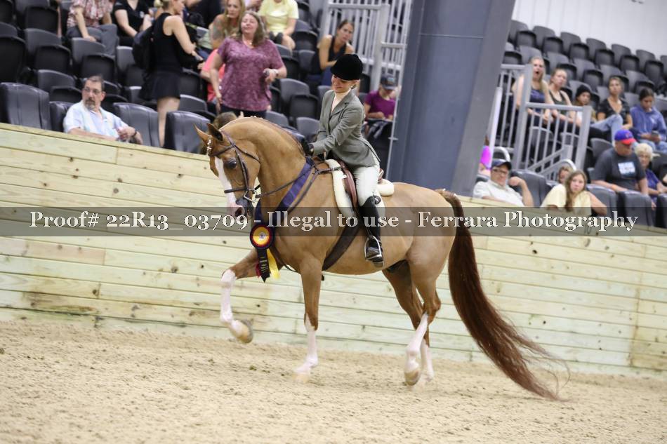 Proof 22R13_03709
