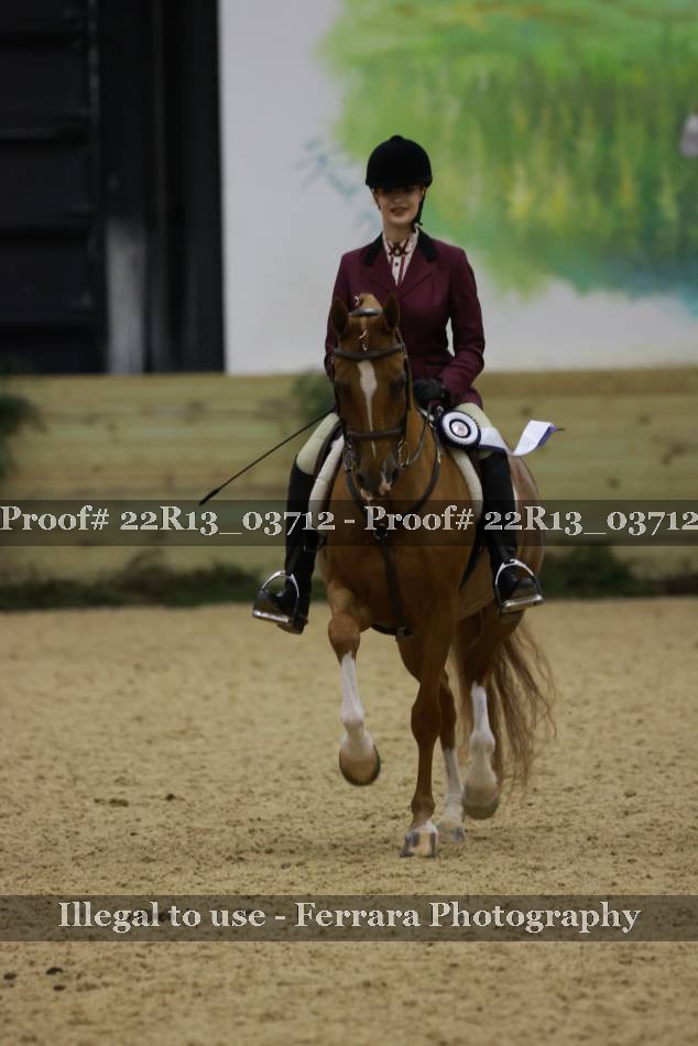 Proof 22R13_03712