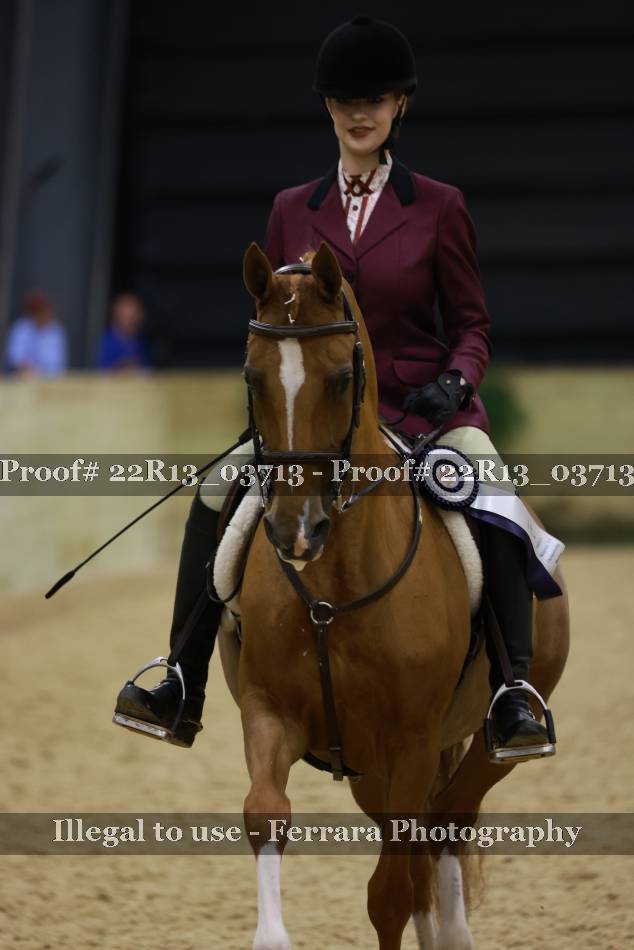 Proof 22R13_03713