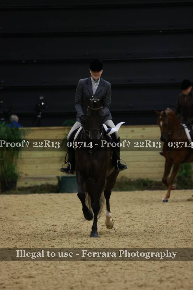 Proof 22R13_03714