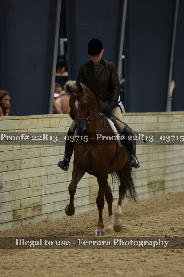 Proof 22R13_03715