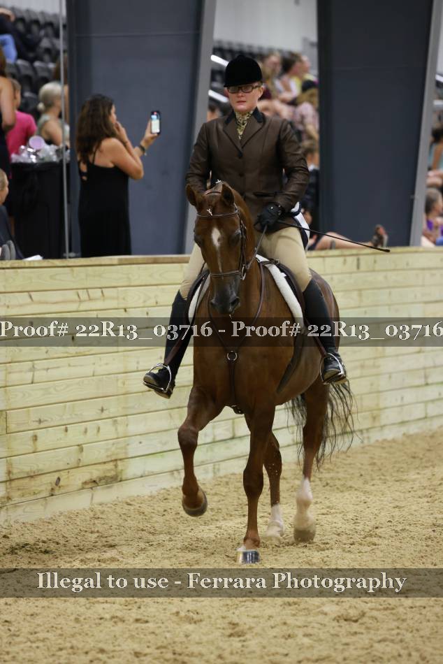 Proof 22R13_03716
