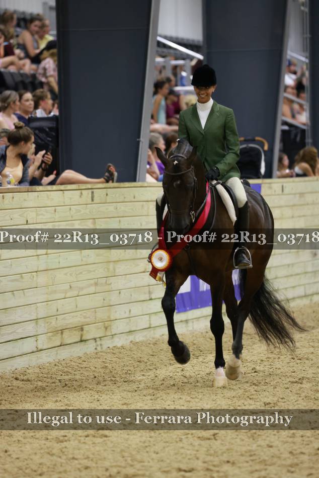 Proof 22R13_03718
