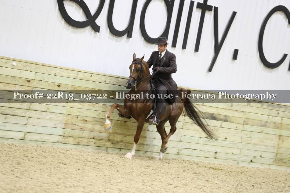 Proof 22R13_03722