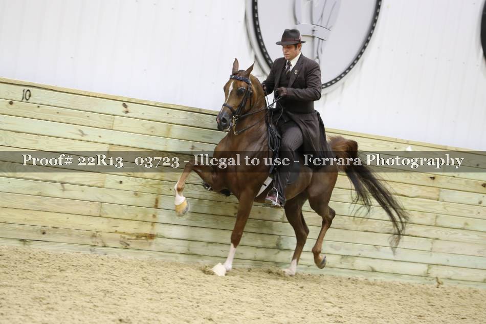 Proof 22R13_03723