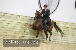 22R13_03723 proof