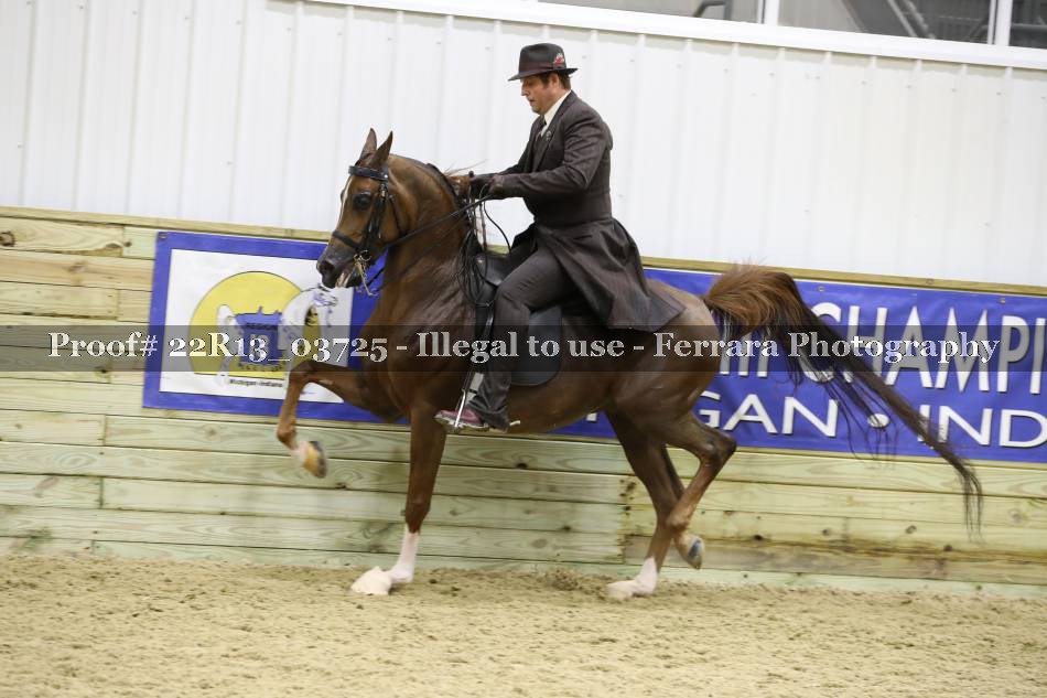 Proof 22R13_03725