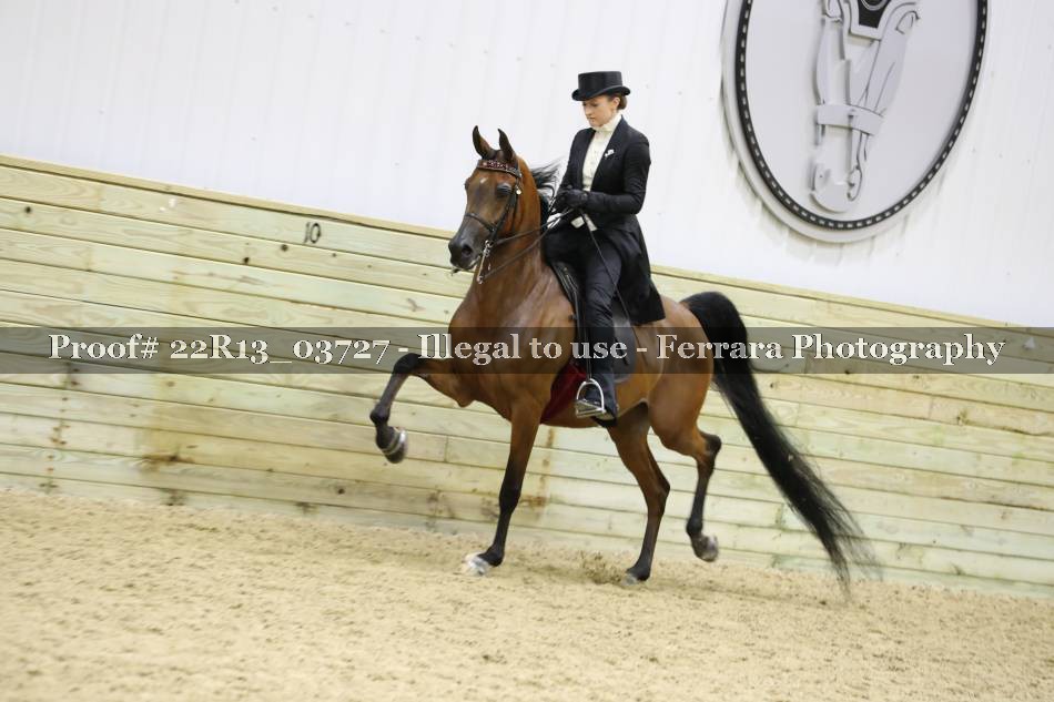 Proof 22R13_03727