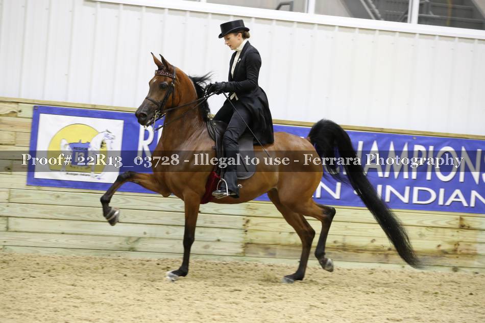 Proof 22R13_03728