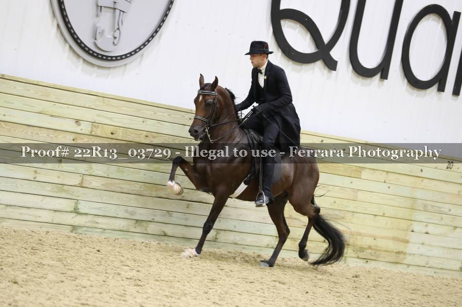 Proof 22R13_03729