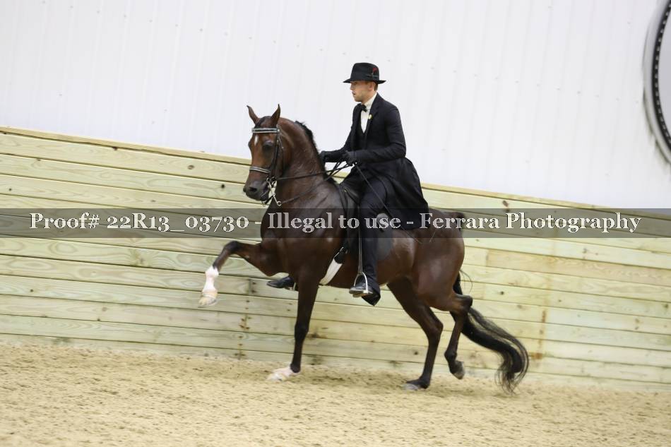 Proof 22R13_03730