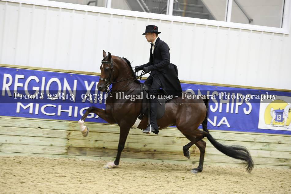 Proof 22R13_03731