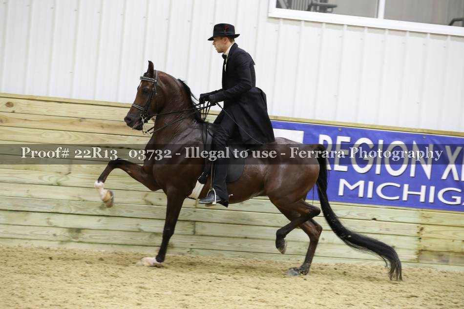 Proof 22R13_03732