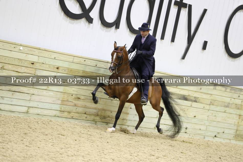 Proof 22R13_03733