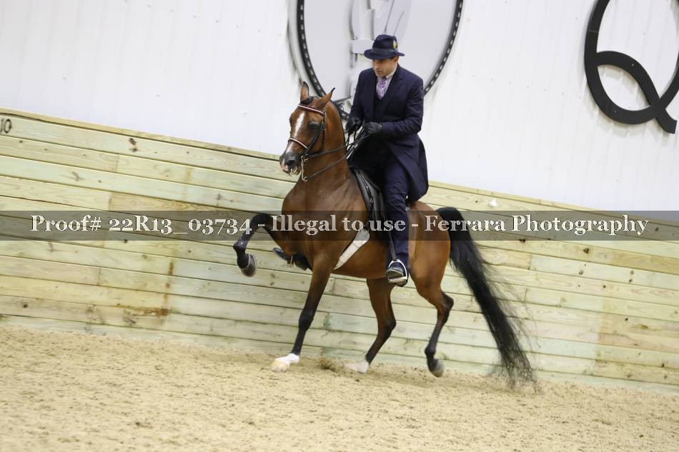 Proof 22R13_03734
